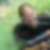 Profilbild von Marco Baumann
