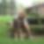Profilbild von Nicole Wermuth