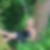 Profilbild von Susanne Donat-Jesse