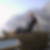 Profilbild von Holger Grenda