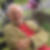 Profilbild von Roland Hartmann
