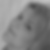 Profilbild von Ingrid Reif