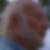 Profilbild von Dieter Kramer