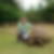 Profilbild von Matthias Tronicke
