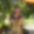 Profilbild von Christian Willnat