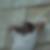 Profilbild von Faieq Zarif