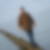 Profilbild von Chulcha Candela