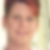 Profilbild von Sylvia Niedenzu