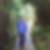 Profilbild von Marie Herrington