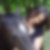 Profilbild von Peggy Mihan