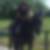 Profilbild von Susanne Gottschalk