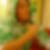 Profilbild von Markus Schmidt