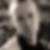 Profilbild von Hilmar Tornow