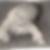 Profilbild von Ani Kleist