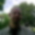 Profilbild von Thorsten Regling