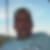 Profilbild von Martin Scheffler