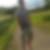 Profilbild von Alex Hein