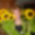 Profilbild von Monika Hinrichs