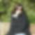 Profilbild von Juliane König