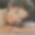 Profilbild von Claudia Christ
