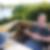 Profilbild von Andreas Michael