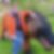 Profilbild von Roland Wich