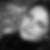 Profilbild von Katharina Homann