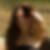 Profilbild von Kirstin Fehre