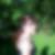 Profilbild von Silke Riebisch