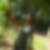 Profilbild von Andrea Rabe