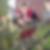 Profilbild von Nadine Bigga