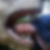 Profilbild von Tino Peter