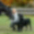 Profilbild von Michaela Riegler