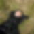 Profilbild von Daniela Hanke