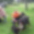 Profilbild von Mario Brandner