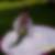 Profilbild von Bianca Sperling