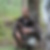Profilbild von Florian Gebhardt