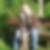 Profilbild von Maike Wolter