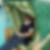 Profilbild von Sigrid Wind