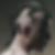 Profilbild von Tom Kiesel