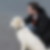 Profilbild von Thomas Schlimbach