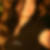 Profilbild von Linda Schulze