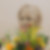 Profilbild von Jutta Hellweg