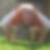 Profilbild von Dirk Turlach