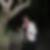 Profilbild von Birgitt Fiedler