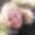 Profilbild von Christine Burgau