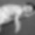 Profilbild von Gerald Gehrke