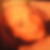 Profilbild von Michaela Petsch