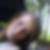Profilbild von Annett Wysocki