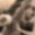 Profilbild von Silvia Herrmann